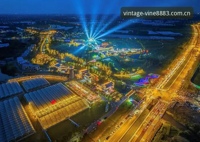 新葡萄体育平台2024最新动态：澳门娱乐平台推荐老版玩法全解析