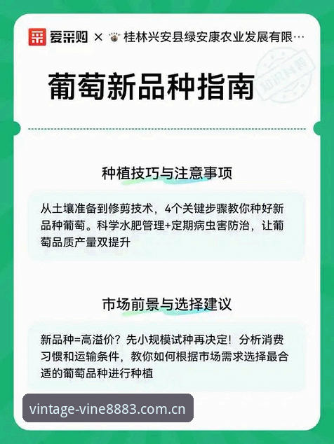 新葡萄体育平台纯净体验完整指南：从下载到畅玩的安心之旅