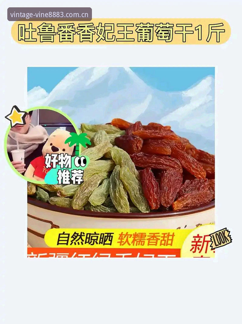 新葡萄体育平台实用指南：老版新葡萄平台特色深度解析与操作技巧