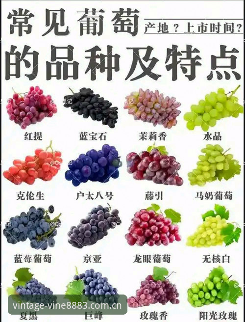 老版新葡萄品牌介绍对比，为什么老用户更信赖它？