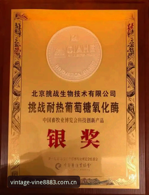老版新葡萄值得信赖常见问题深度分析：从用户视角探索经典娱乐平台的创新突破